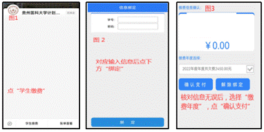 支付宝学生缴费流程